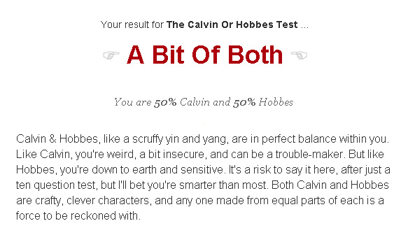 My score at the Calvin and Hobbes test